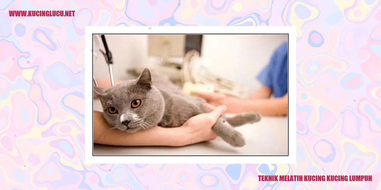 Teknik Melatih Kucing