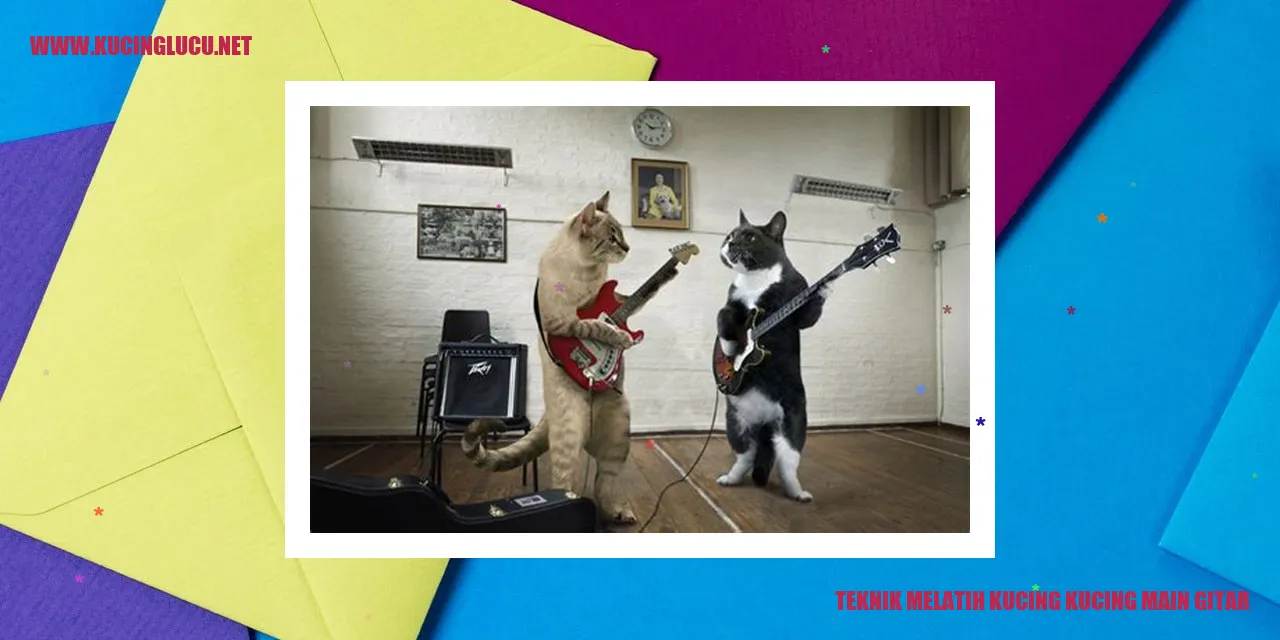 Kucing main gitar