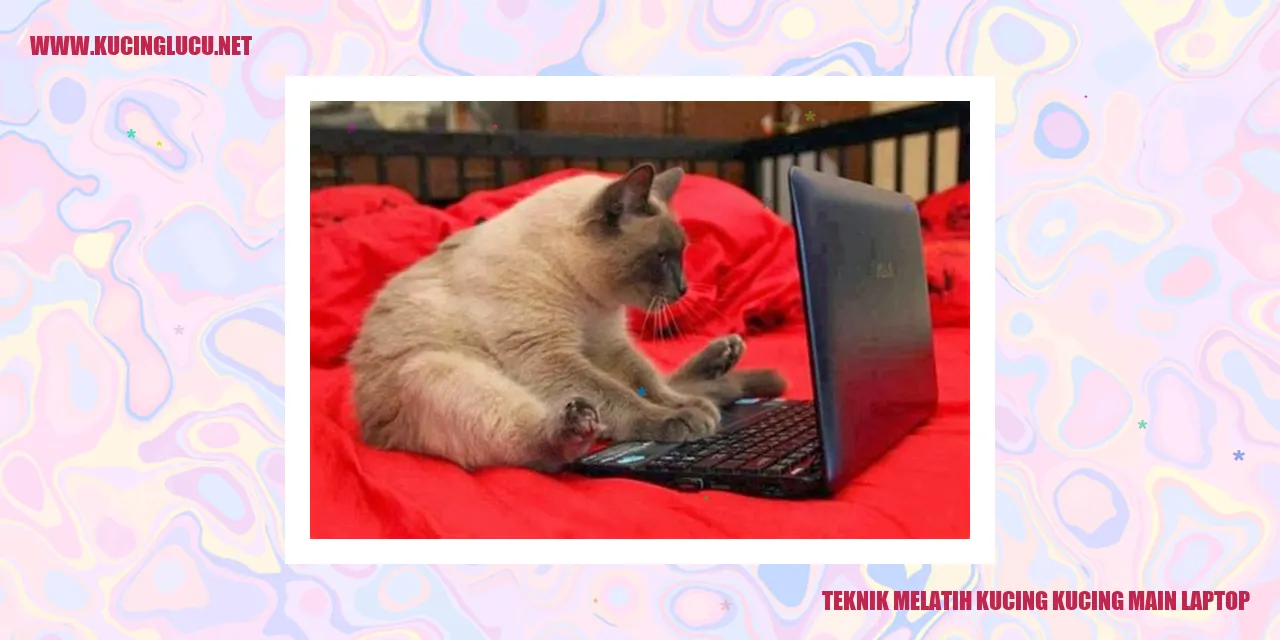 Teknik Melatih Kucing Main Laptop