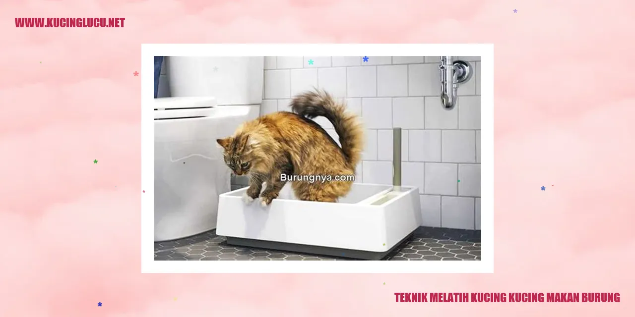 Kucing memburu burung