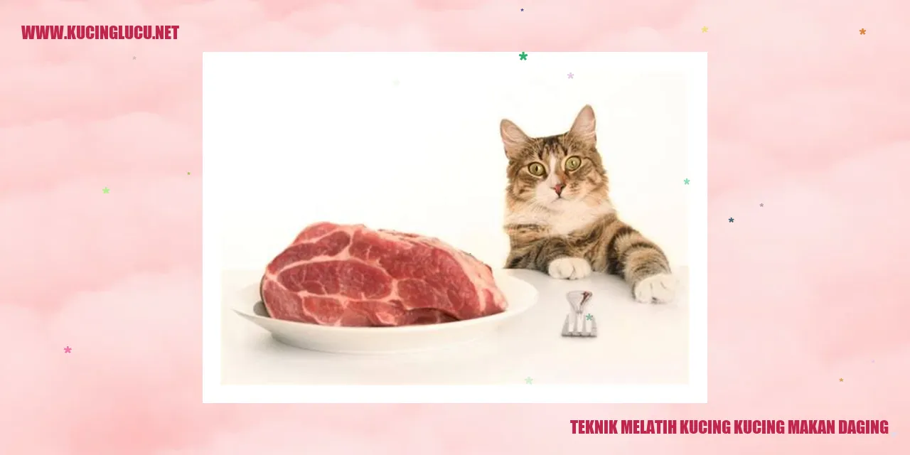 Gambar Kucing Menikmati Daging