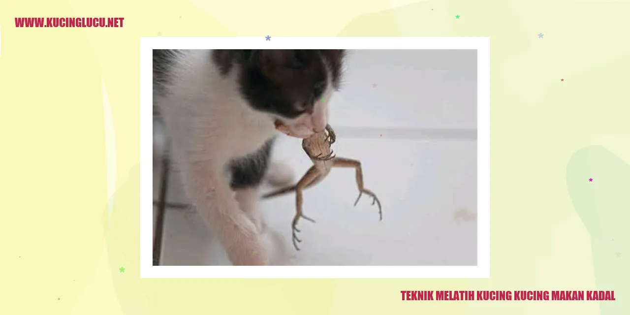 Melatih Kucing Makan Kadal