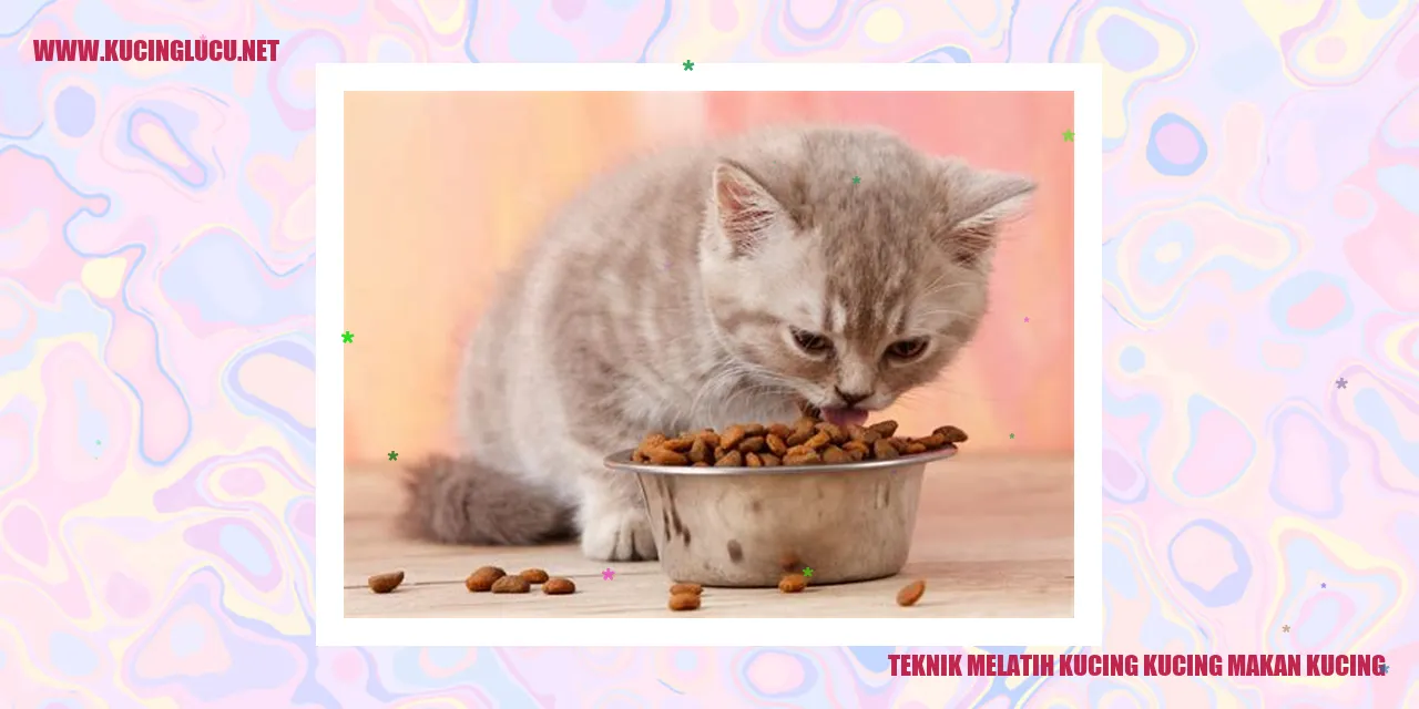 Kucing menyantap makanan kucing