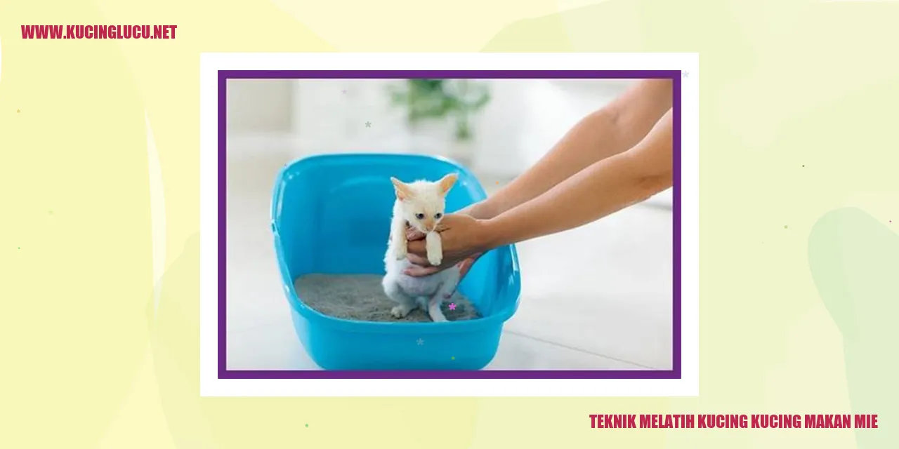 Kucing menyantap mie