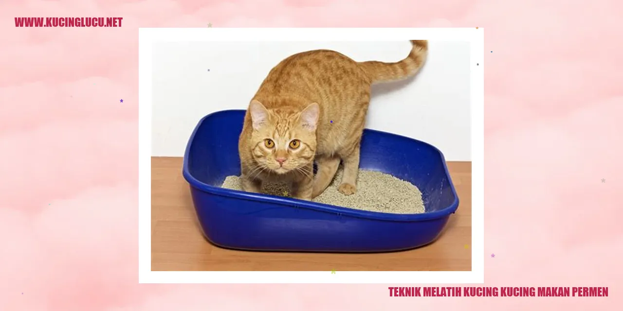 Kucing Menikmati Permen