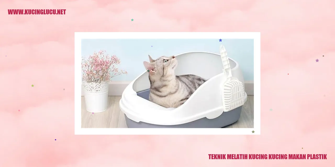 Kucing dan plastik