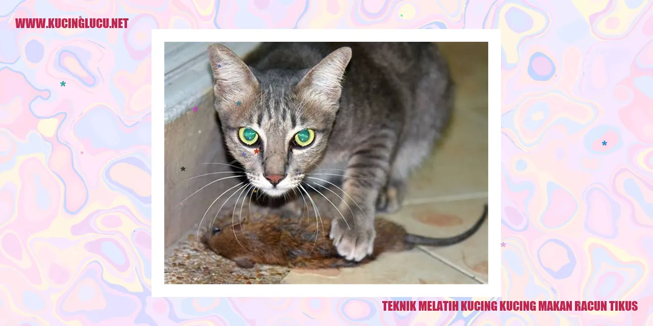 Gambar Kucing