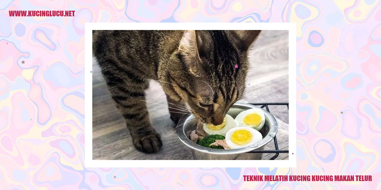 Kucing sedang makan telur