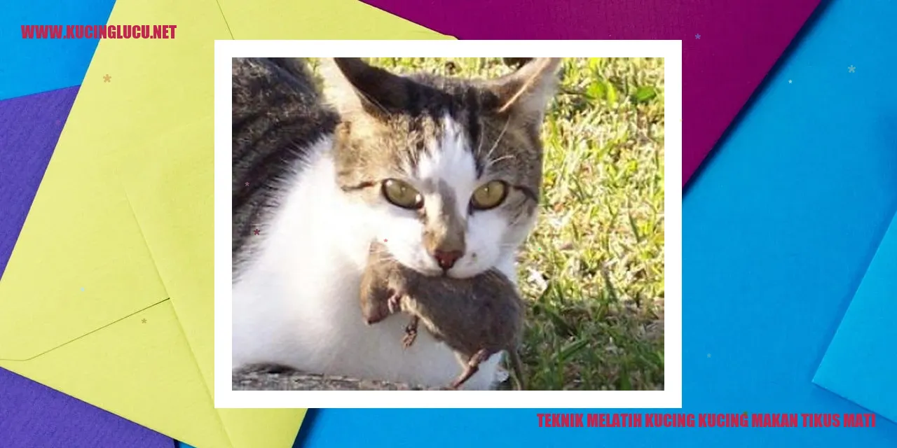 Gambar Aktivitas Berburu Kucing