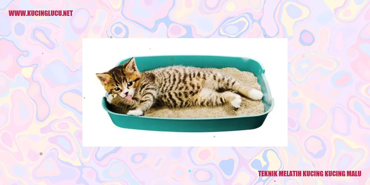 Kucing malu