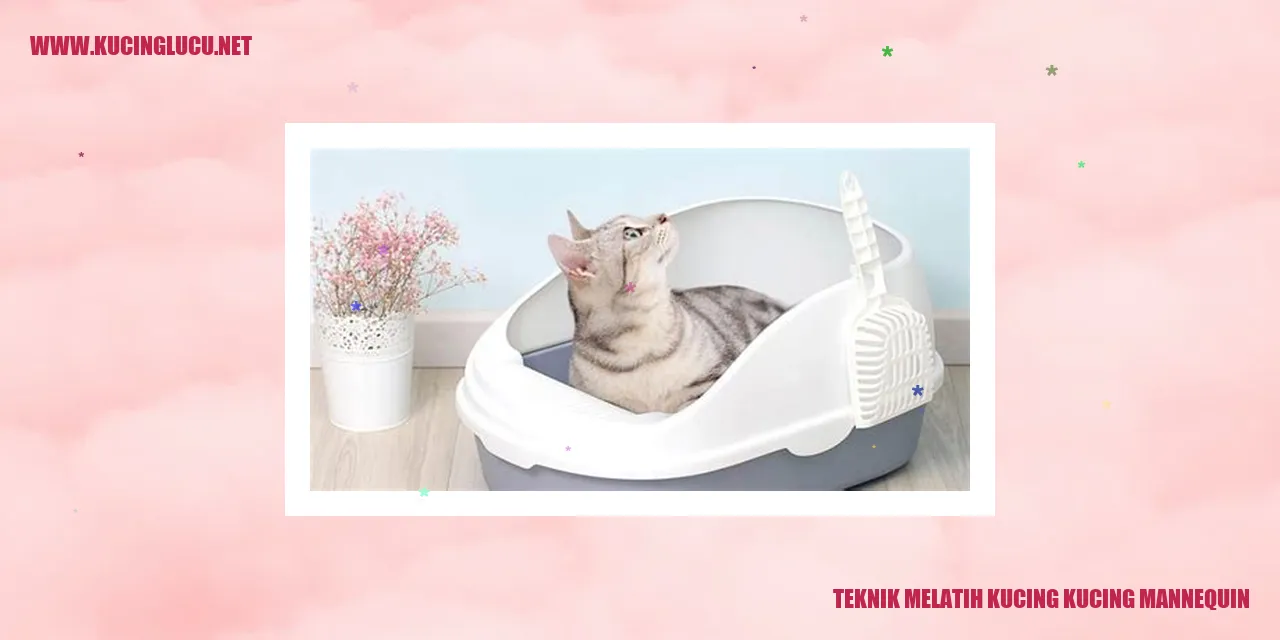 Teknik Mengajar Kucing dengan Kucing Mannequin