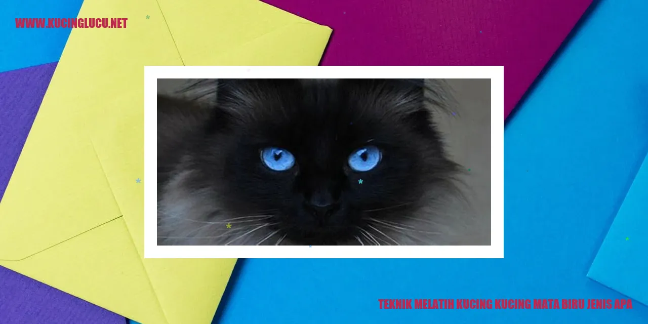 Kucing Mata Biru yang Menawan