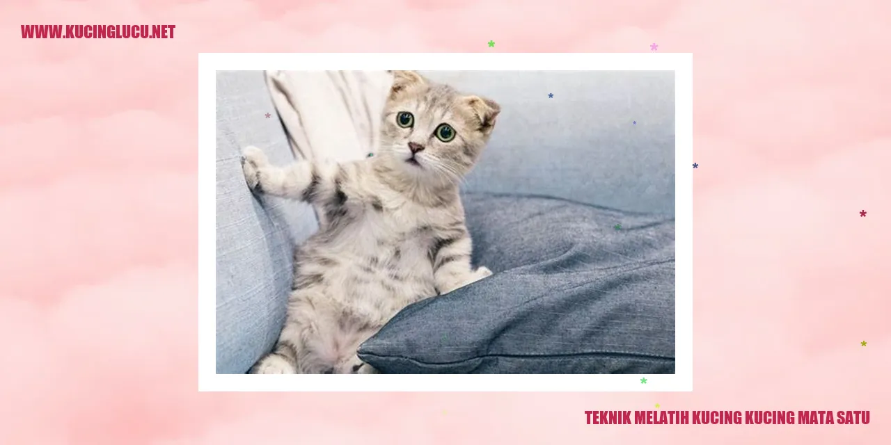 Gambar Kucing Mata Satu
