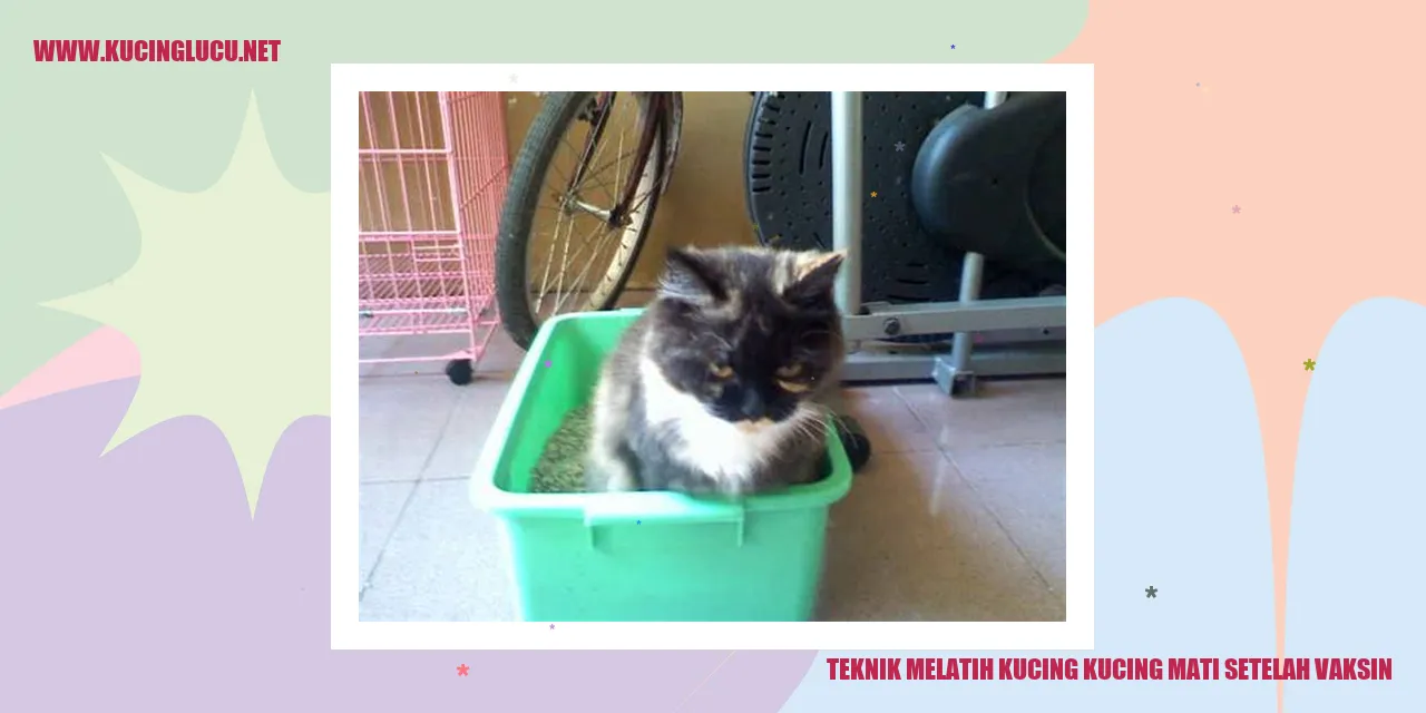 Teknik Melatih Kucing mati setelah vaksin