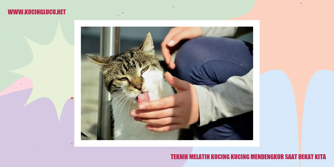 foto kucing yang mendengkur