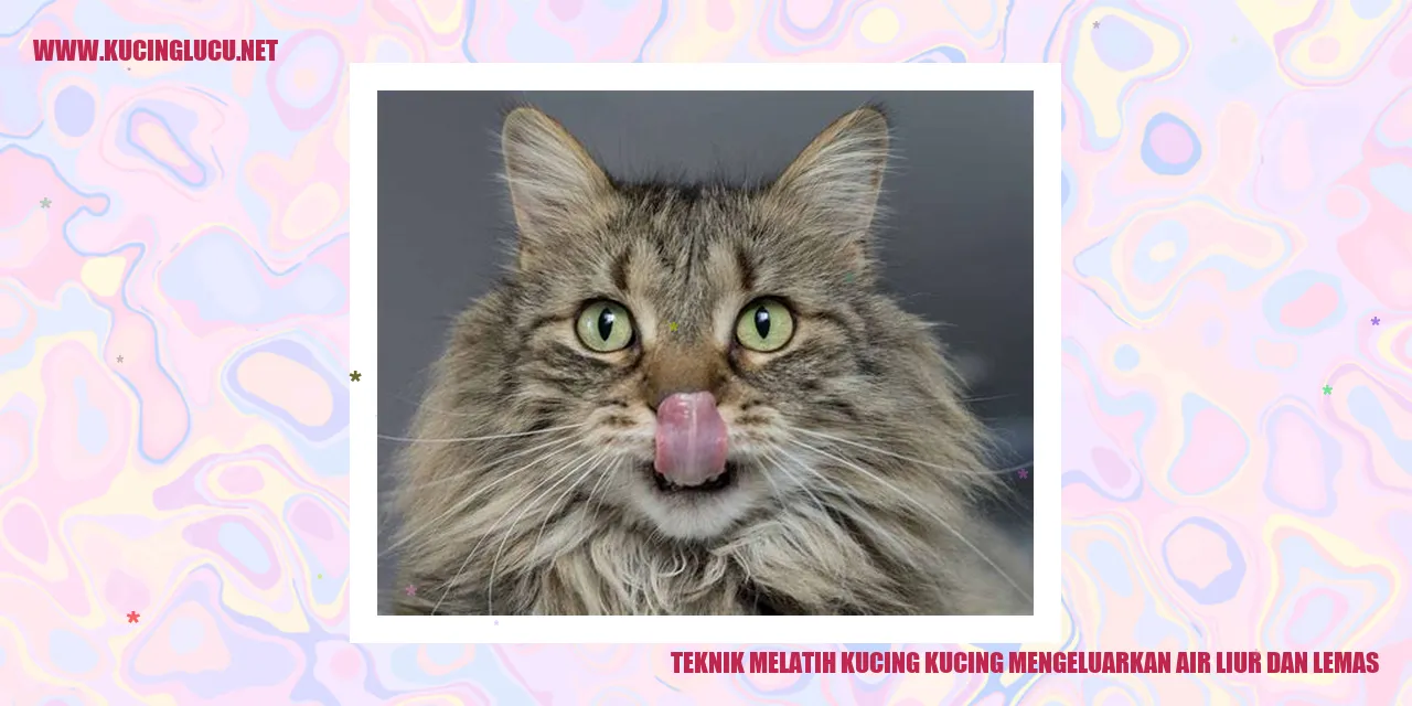 Kucing Mengeluarkan Air Liur dan Lemas