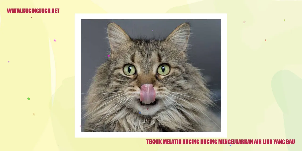Gambar Kucing