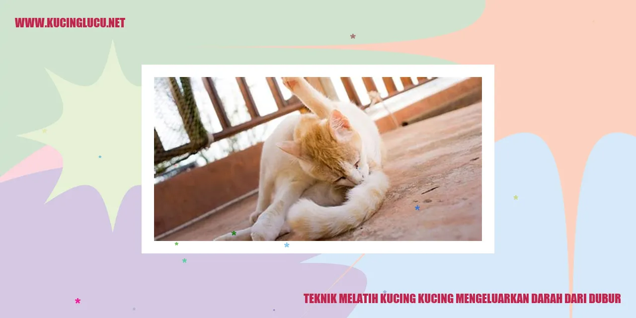 Gambar kucing