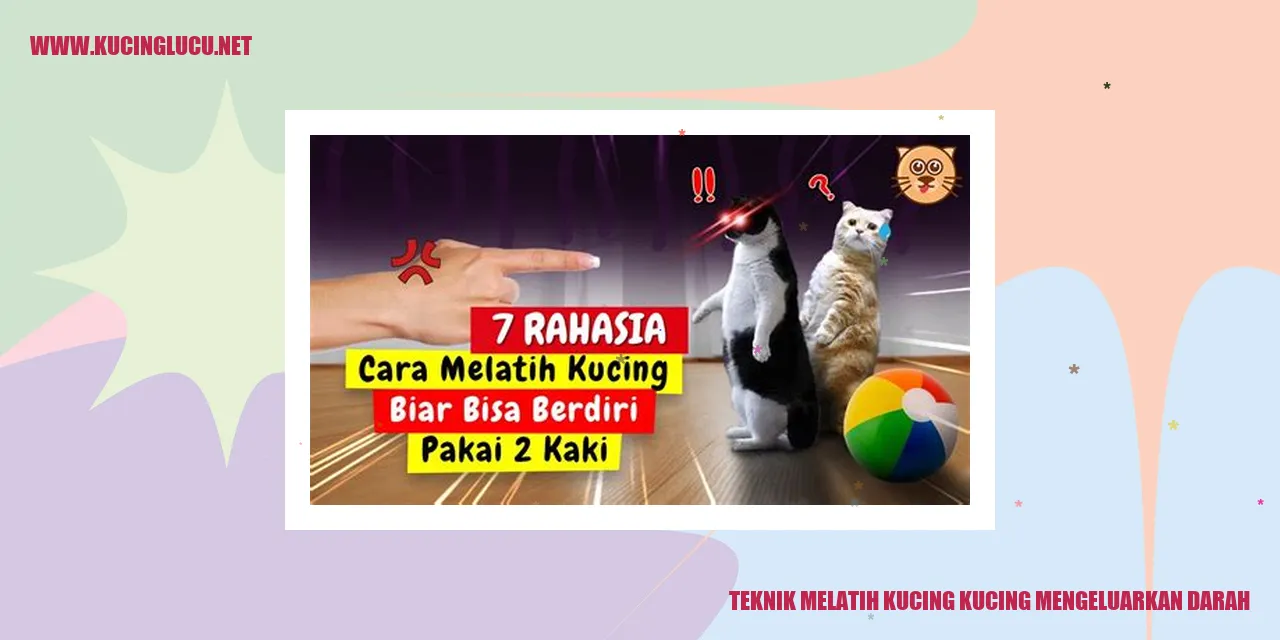 Teknik Melatih Kucing Mengeluarkan Darah