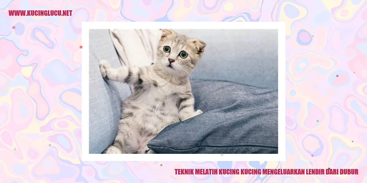 Gambar kucing