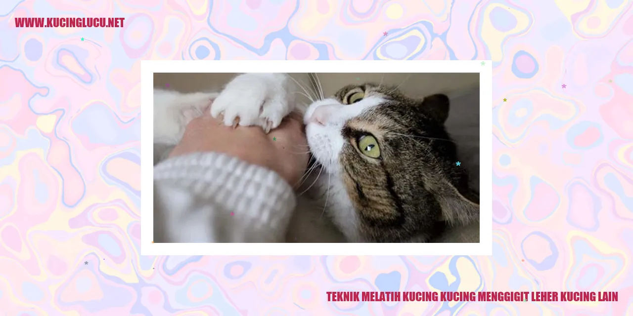 Melatih Kucing