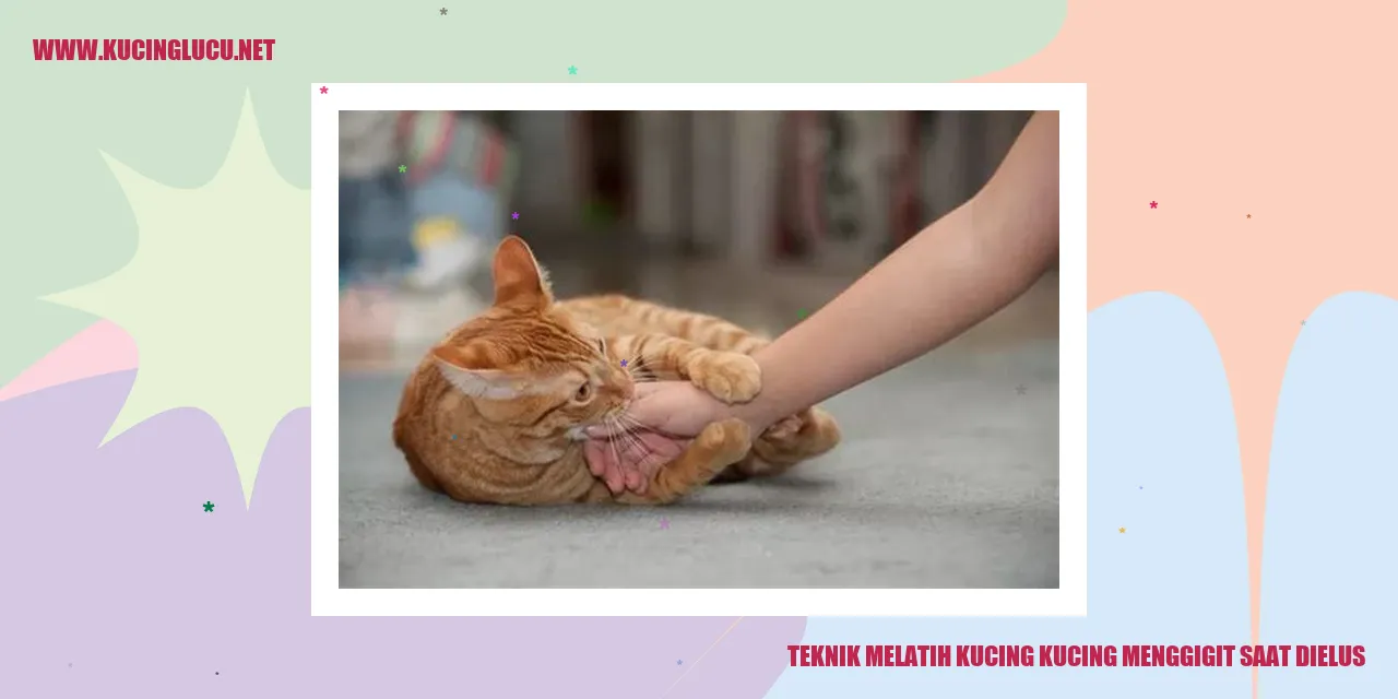 Gambar kucing yang menggigit saat dielus