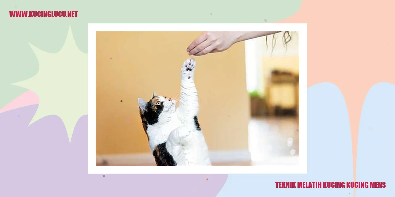 Gambar Kucing