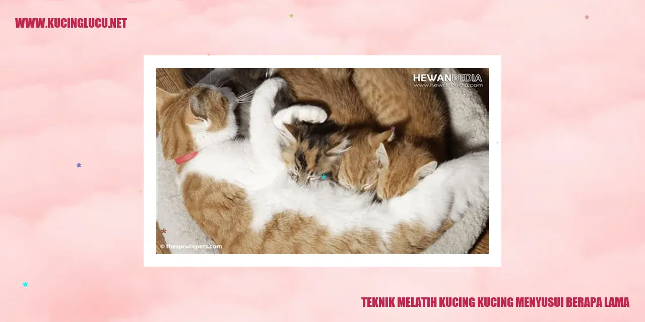 Kucing tengah menyusui bayinya