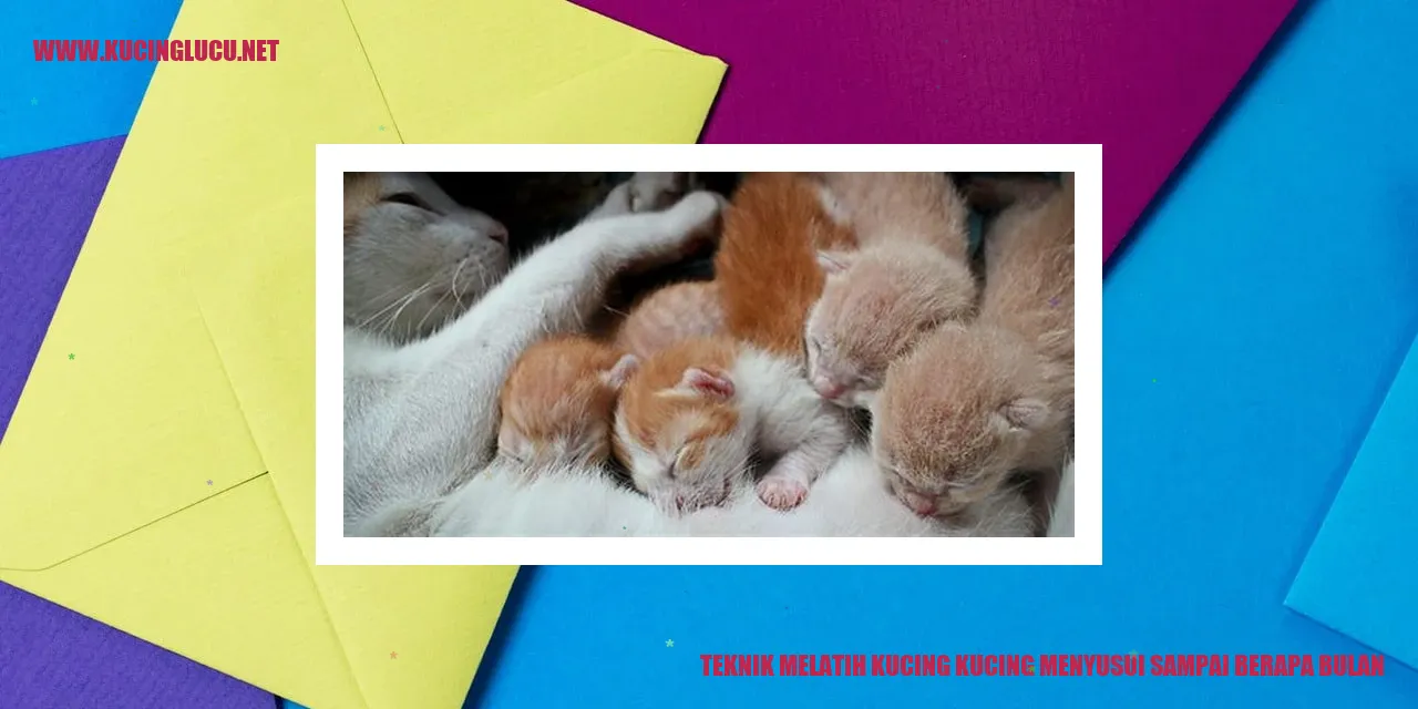 Kucing menyusui