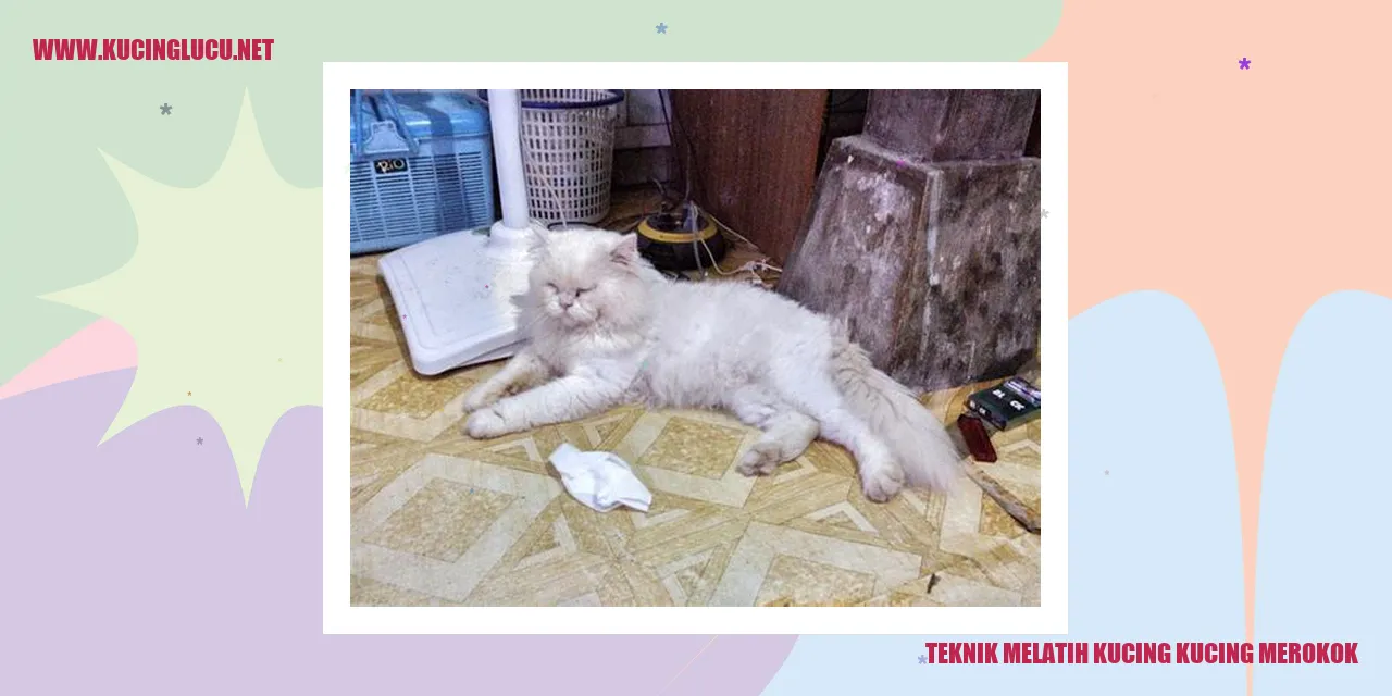 Gambar Kucing Merokok