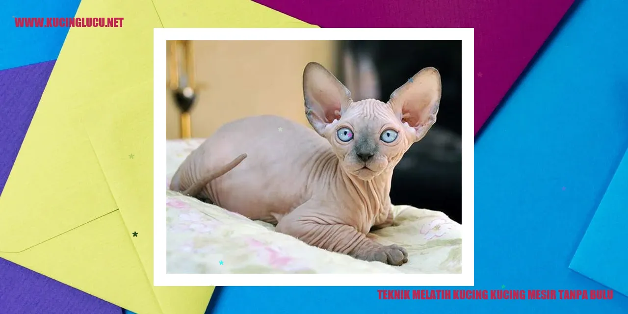 Kucing Sphynx Tanpa Bulu