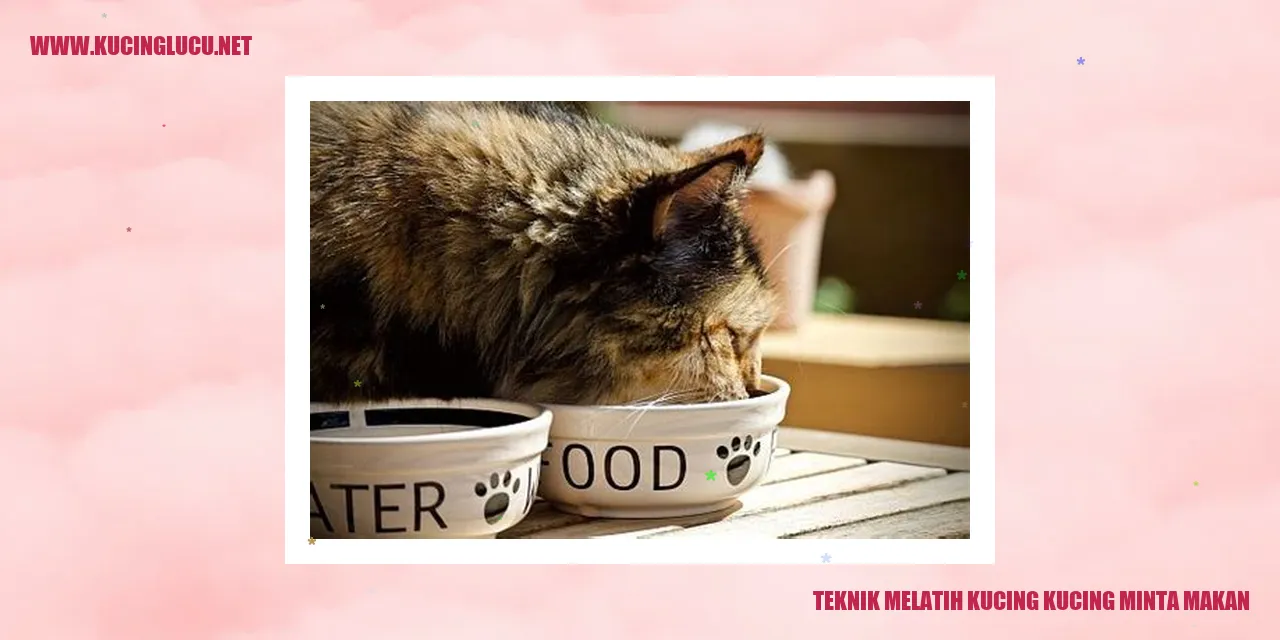 Mengajari Kucing minta Makan dengan Baik