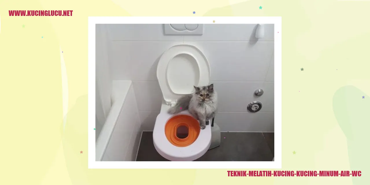 Kucing Minum Air WC