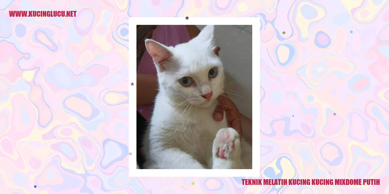 Gambar Kucing Mixdome Putih
