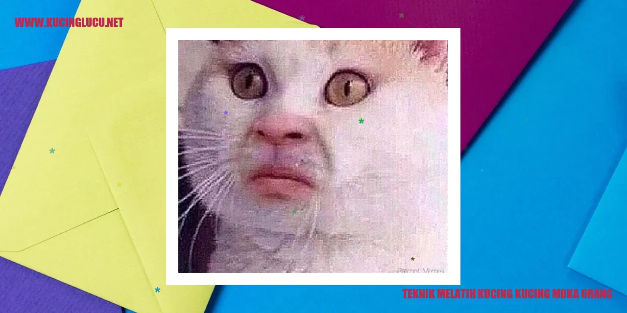 Ilustrasi kucing sedang melatih