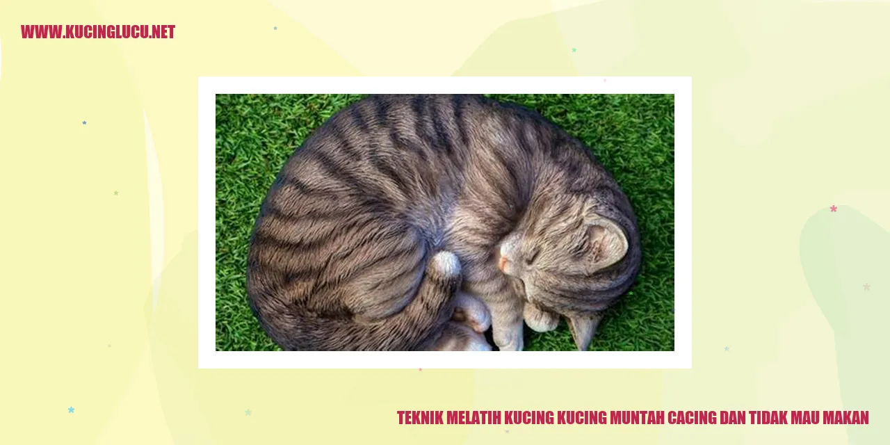 Gambar Kucing