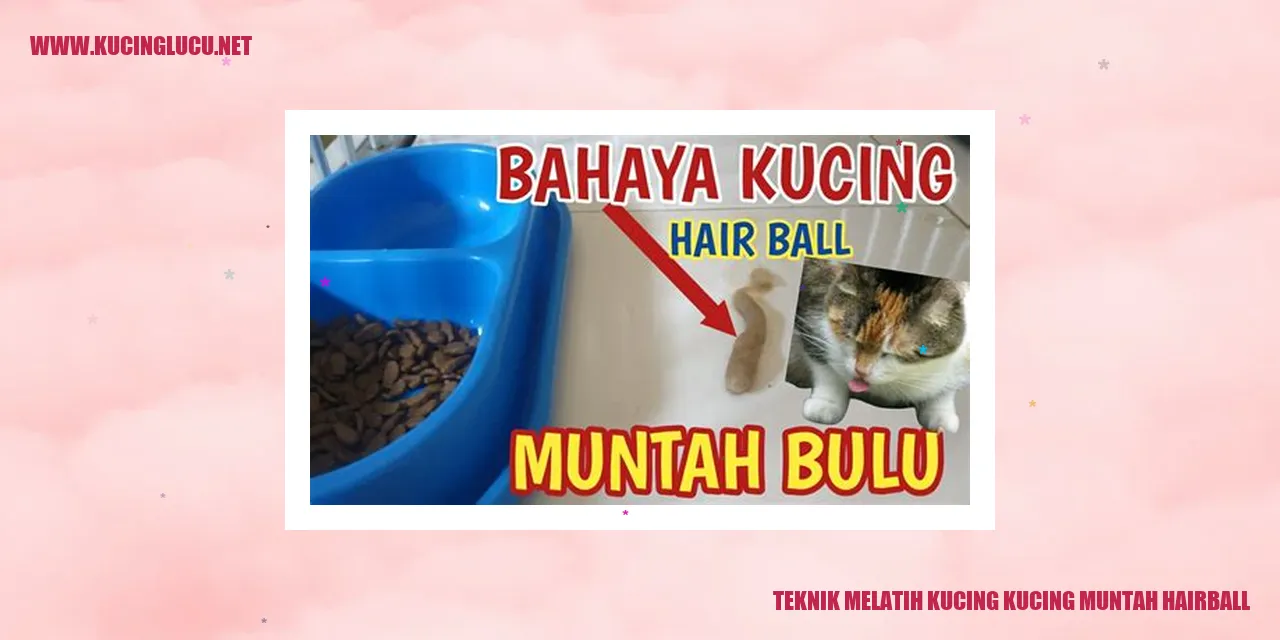 Gambar Kucing Muntah Hairball