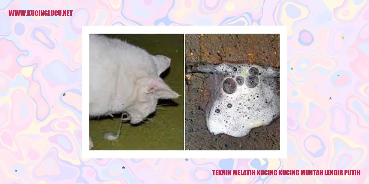 Gambar Kucing Muntah Lendir Putih