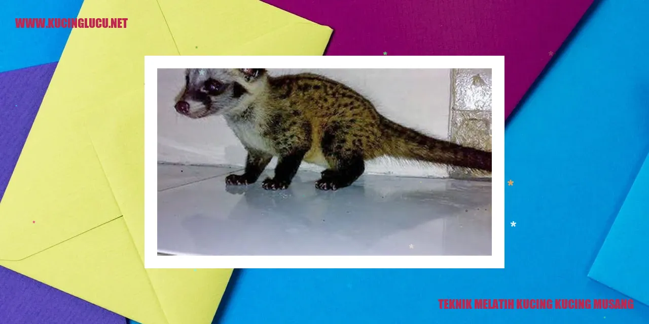 Foto Kucing Musang