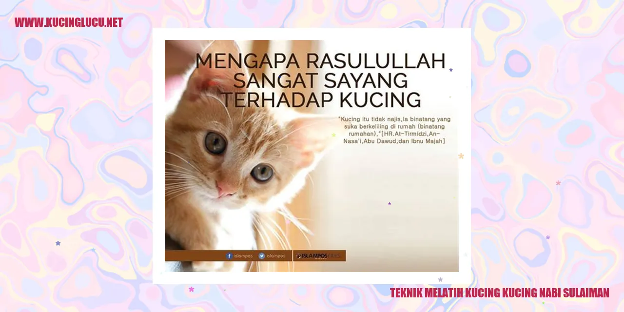 Gambar Kucing Nabi Sulaiman