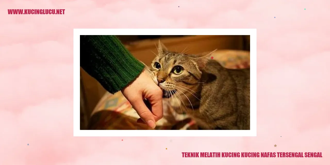 Gambar Kucing Bermasalah Pernapasan
