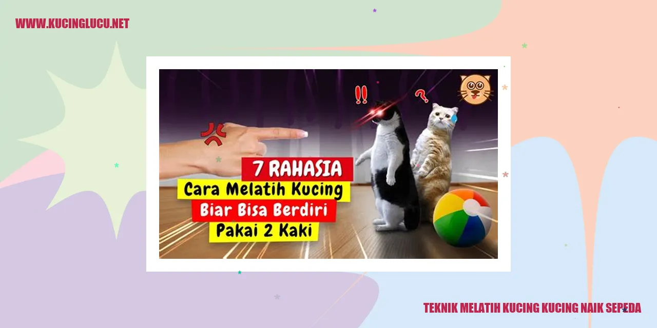 Gambar kucing menunggangi sepeda