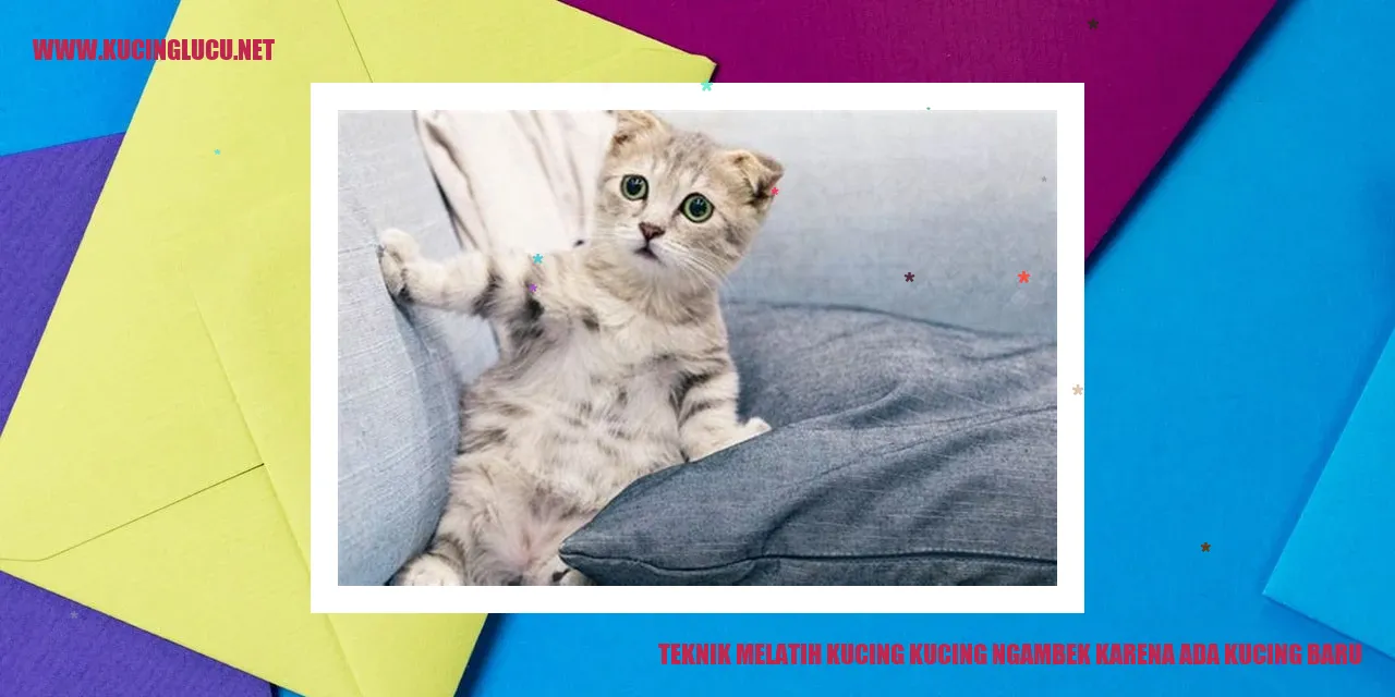 Gambar kucing sedang berantem