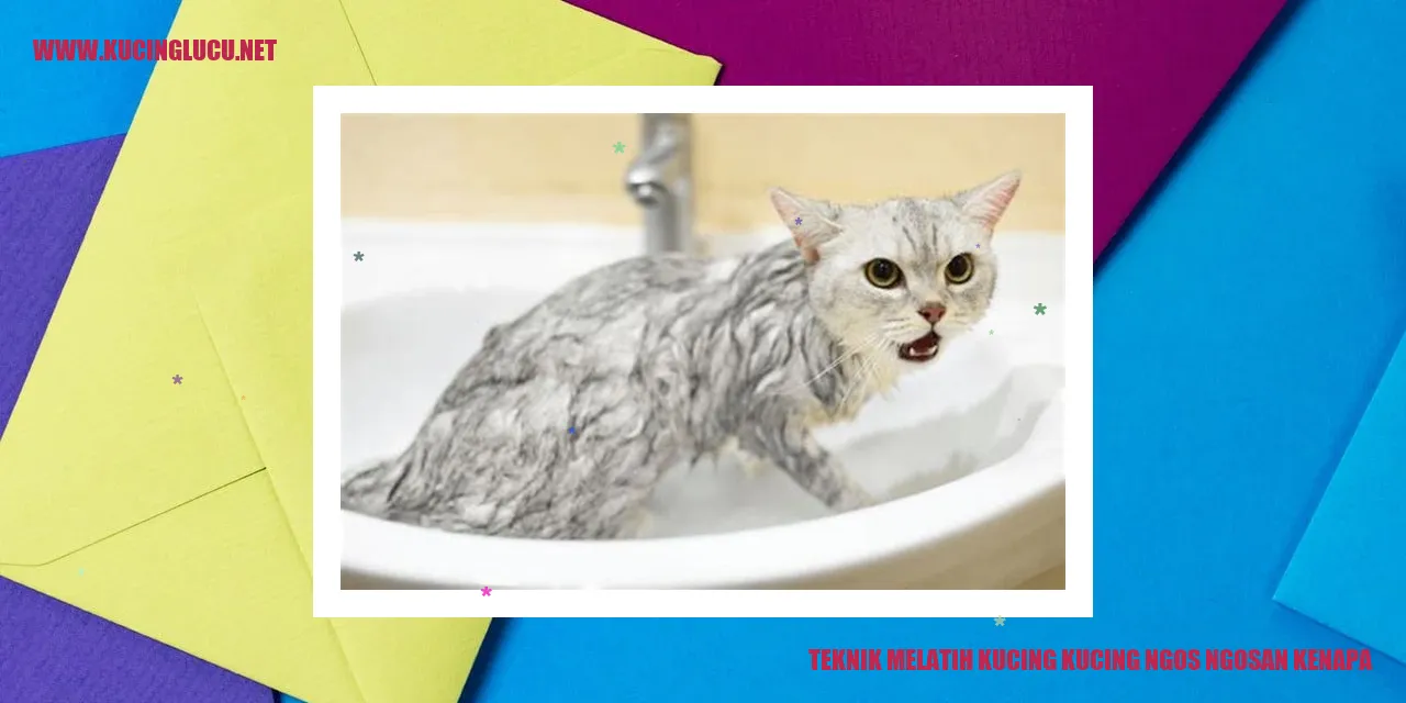 Gambar Kucing ngos ngosan