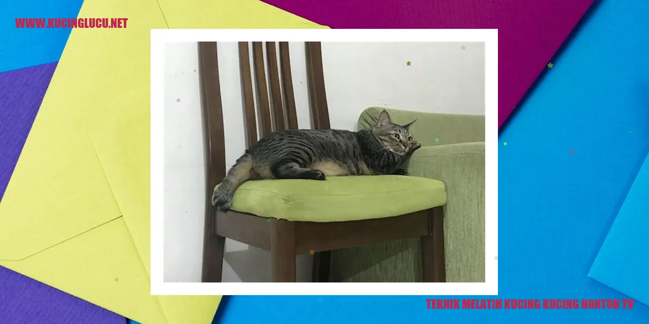 Gambar Kucing Menonton TV