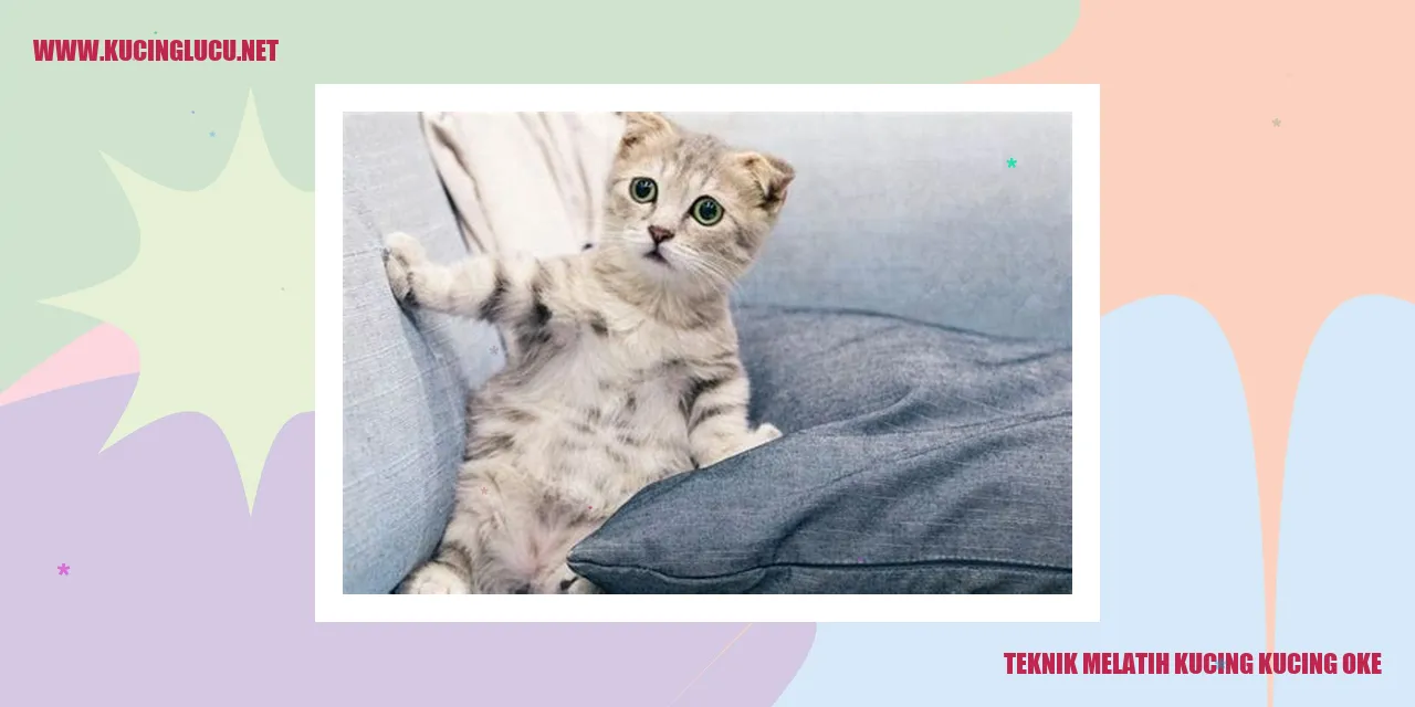 Melatih Kucing