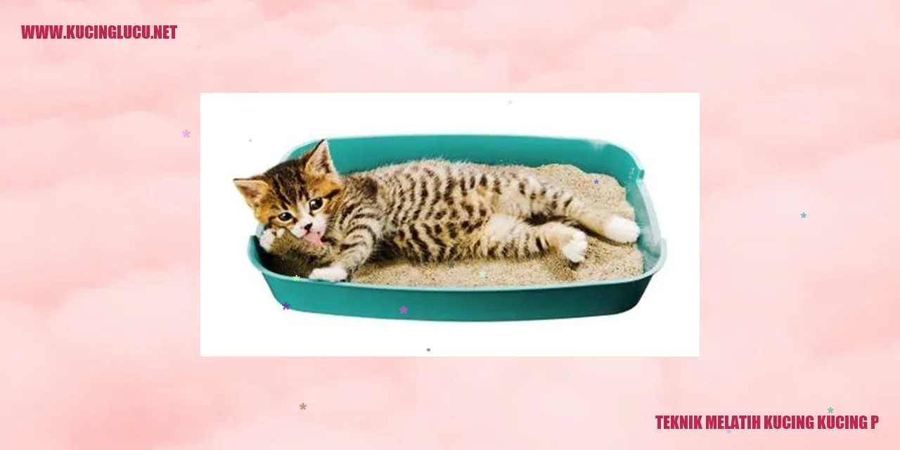 Gambar Kucing