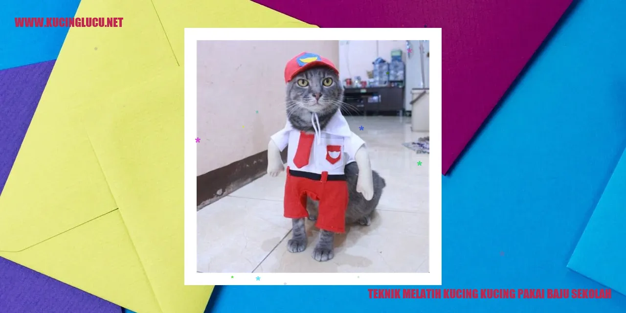 Gambar kucing dengan baju sekolah