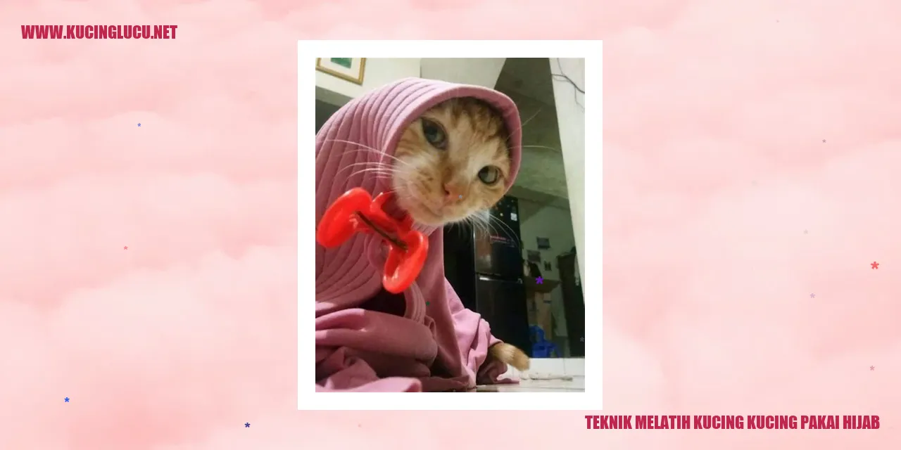 Kucing berhijab