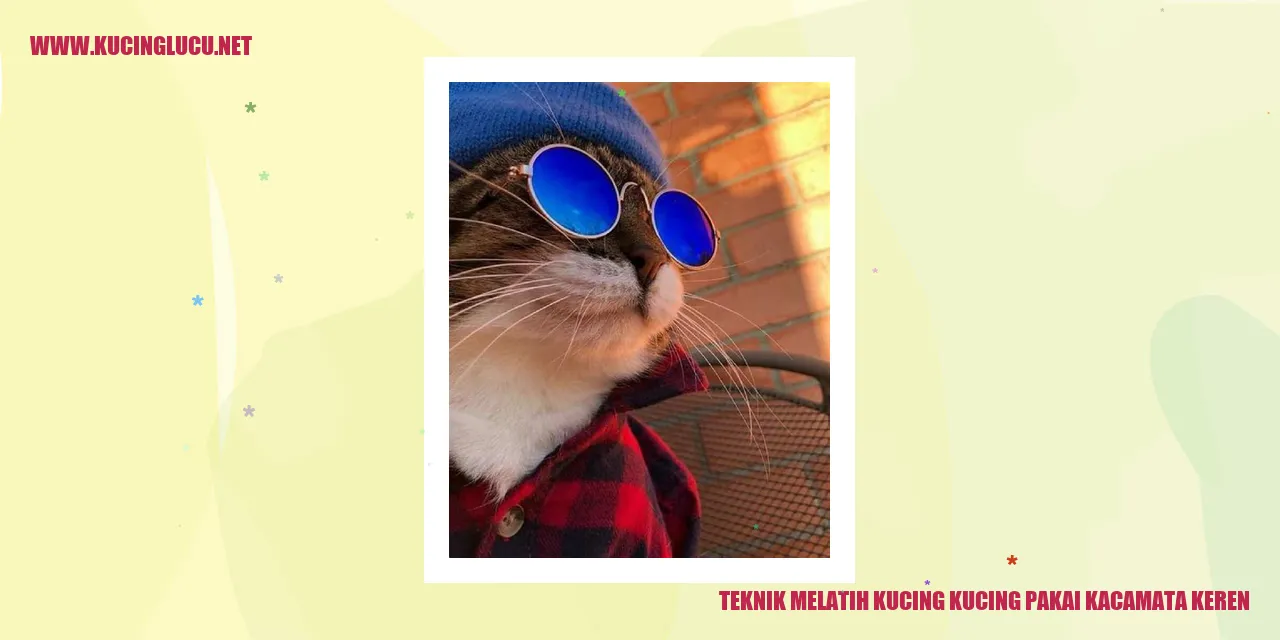 Kucing dengan kacamata keren